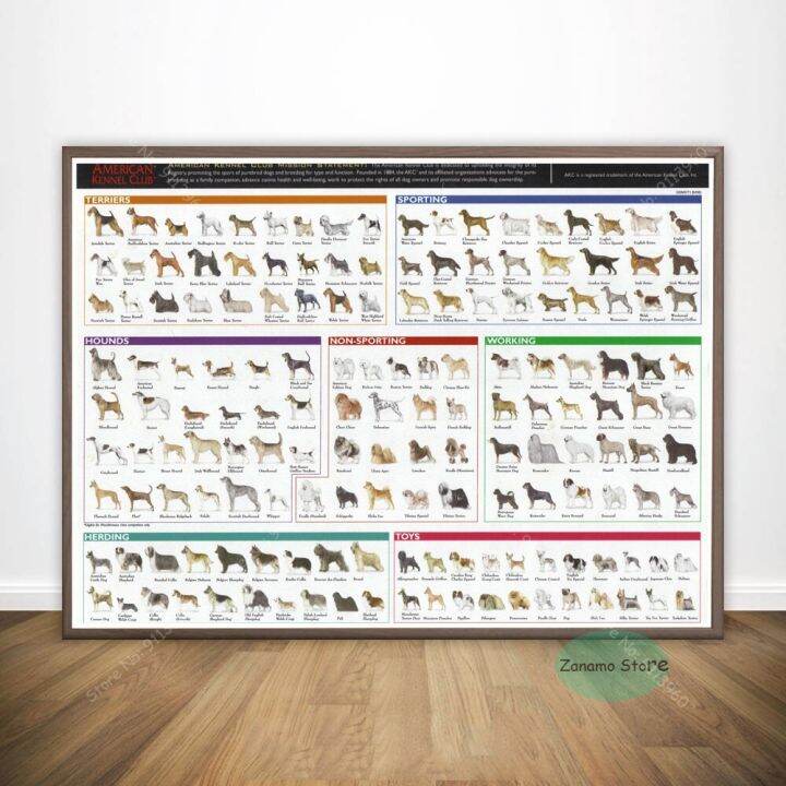 ZT The Diagram Of Different Dog Breeds Anatomy Chart Poster Prints