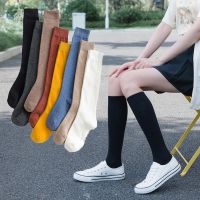 Cotton Ladies Knee High soild color Socks Women student Socks School Party street dancing knee sock for women