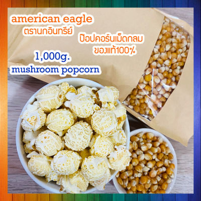 เมล็ดข้าวโพดpopcorn mushroompopcorn ข้าวโพดมัชรูม ป๊อบคอร์นมัชรูม เมล็ดข้าวโพดมัชรูม ขนาด 1 กิโลกรัม