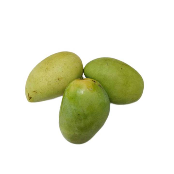 Guimaras Mango [Unripe] (250-350g) | Lazada PH