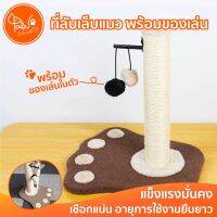 PawSociety ที่ฝนเล็บแมว พร้อมของเล่น คลายเครียด ที่ฝนเล็บ แบบแท่ง เสาฝนเล็บแมว