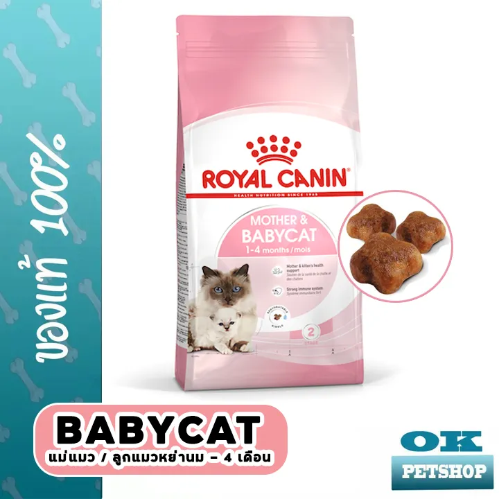 หมดอายุ4-24-royal-canin-babycat-4-kg-อาหารลูกแมวและแม่แมว-ขนาด-4กก