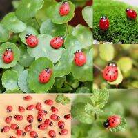 【☄New Arrival☄】 yi6067 10ชิ้นจิ๋ว Coccinella Septempctata หัตถกรรมเรซิ่นแบบทำเองของตกแต่งสวนเล็กๆ