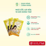 Dr.maya Ngũ cốc Lợi sữa - Set dùng thử