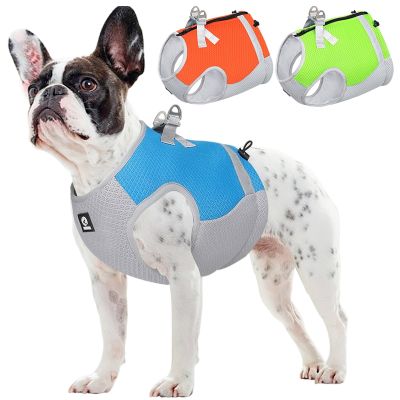 Pet Cooling Vest for Small Medium Dog Harness Vest Puppy Clothes Reflective UV Protection Dog Outfits Chihuahua Pug Pet Supplies