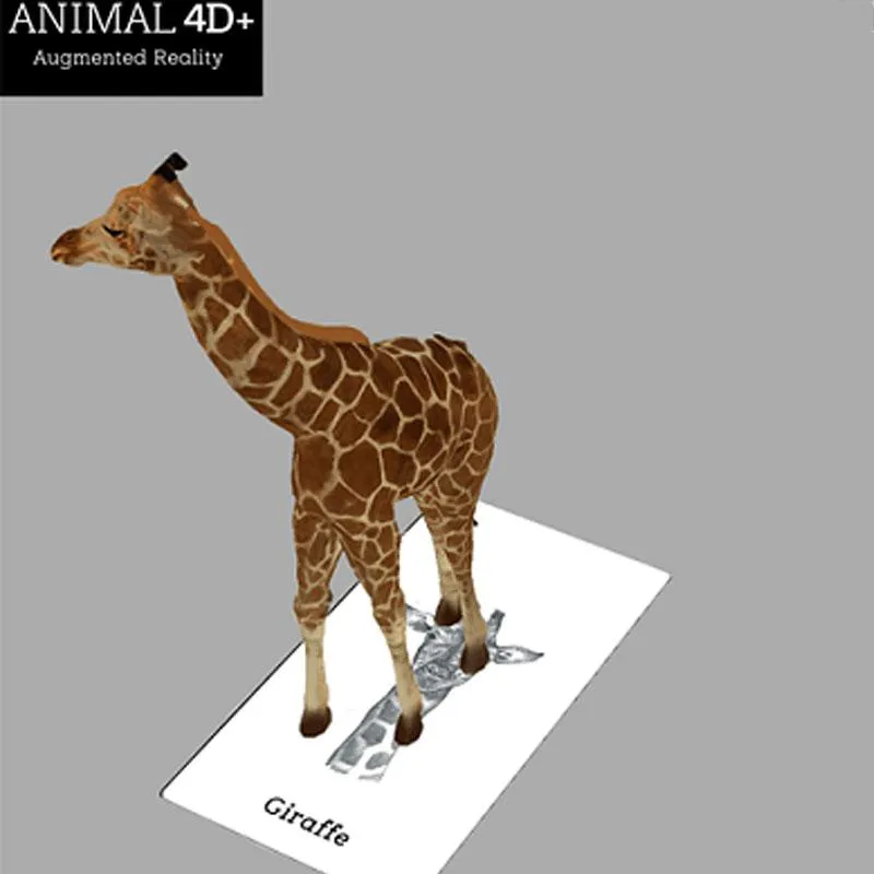 Download Bộ Ảnh Animal 4D Card Full 26 Con Vật AZ  MONA Decor