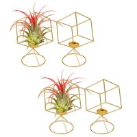 Air Plant Holder 4 Pack Tillandsia Air Plants Stand Hanging Containers Display Racks for Home Decoration Gift