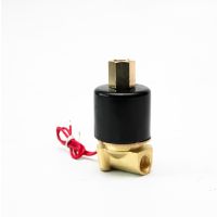 1/4" Gas Solenoid Valve Brass Solenoid Valve Normally Open Solenoid Valve 24V 12V 220V 110V Valves