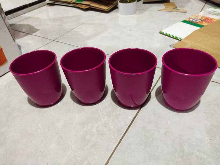 berries tumbler gelas ungu tupperware Lazada Indonesia