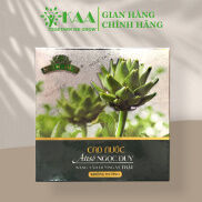 Cao Atiso Nước không đường 1 hộp 10 ống