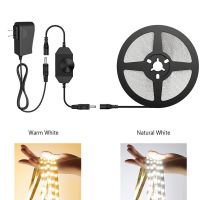 5M 10M LED Strip With Dimmer Switch 12V 2835 Warm White Pure White Flexible LED Tape Light Strips For Makeup Mirror Bedside Lamp LED Strip Lighting