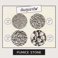 หินภูเขาไฟ หรือ หินพัมมิซ (Pumice) วัสดุปลูก/รองก้นกระถาง