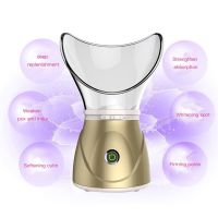 Electric Deep Cleaning Facial Cleaner Beauty Face Steaming Device Facial Steamer Machine Facial Thermal Sprayer Skin Care Tools