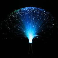 LED Fiber Optic Lamp Light Multicolor Interior Decoration Centerpiece Holiday Wedding Lamp LED Night Light Lamp Night Lights