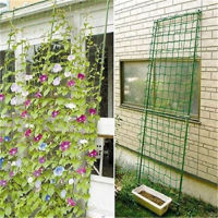 2022 ใหม่ Garden Green Nylon Trellis Netting Support Climbing Bean Plant Nets Grow Fence ขายด่วน-Meqiao ke