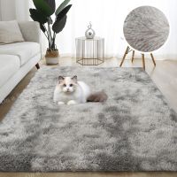 〖Queena carpet〗พรมหรูนุ่มสำหรับห้องนั่งเล่นพรมหนาห้องนอนเด็กโซฟาหน้าต่างพรมปูพื้นนุ่มทันสมัยเสื่อสำหรับเล่นของตกแต่งโต๊ะ