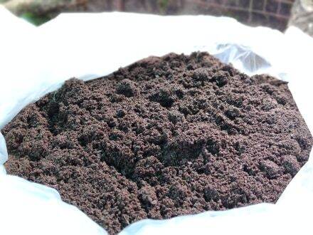 1kgs Pure Vermicast / Vermicompost | Natural Vermicast | Loam Soil ...