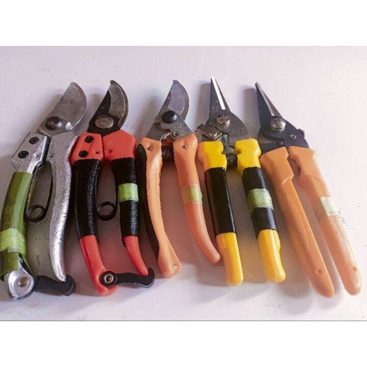 JAPAN SURPLUS PRUNING SHEARS Lazada PH
