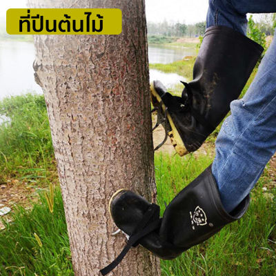 ที่ปีนต้นไม้  อุปกรณ์ปีนต้นไม้ Tree Climbing  ปีนต้นไม้ ต้นไม้  รุ่น JC-1106