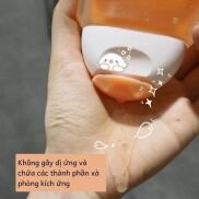 Dung Dịch Vệ Sinh Phụ Nữ Femfresh Cao Cấp Hằng Ngày 250ml Daily Intimate