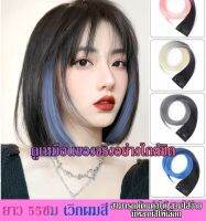 Colorwig ไฮไลทวิกผมสีสันสดใส ผมสีสวยไม่ต้องย้อม วิกผม ไฮไลทผม   ?‍♀️?????