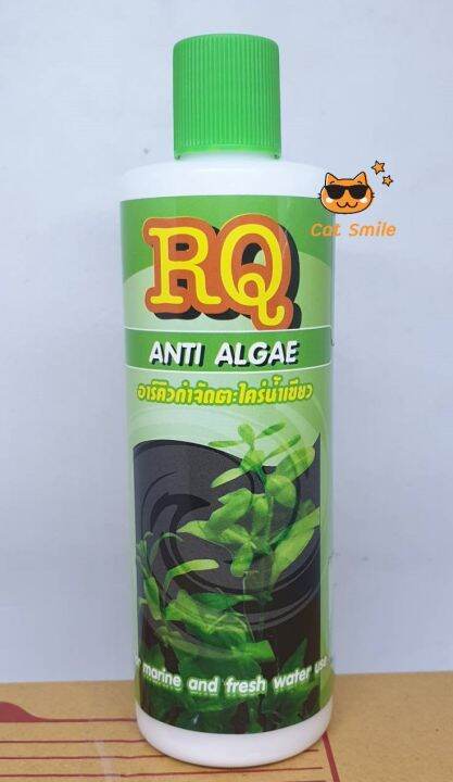 rq-anti-algae-อาร์คิว-กำจัดตะไคร่-น้ำเขียว-น้ำยาลดตะไคร่-น้ำเขียว-ฆ่าตะไคร่-ทำให้น้ำใส-200-มล-จำนวน-2-ขวด-ส่งฟรี