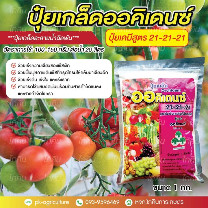 ปุ๋ยเกล็ดสูตร-21-21-21-ขนาด-1-กก