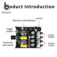 Blesiya บอร์ดเครื่องขยายเสียง,บอร์ดเครื่องขยายเสียง DC12V-16V รอบ3D ใช้ในบ้าน