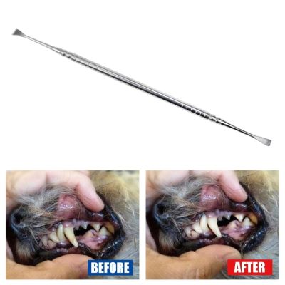 Pet Teeth Cleaning Tools 7 Inch Double For Head Tarter &amp; Plaque Remover เครื่องมือทันตกรรม Tartar Calculus Plaque Remover