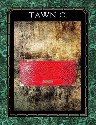 TAWN C. Exotic Skin Accessory &amp; Stationary Collection - Lizard Skin, Long Envelop Pouch in Chilli Red
