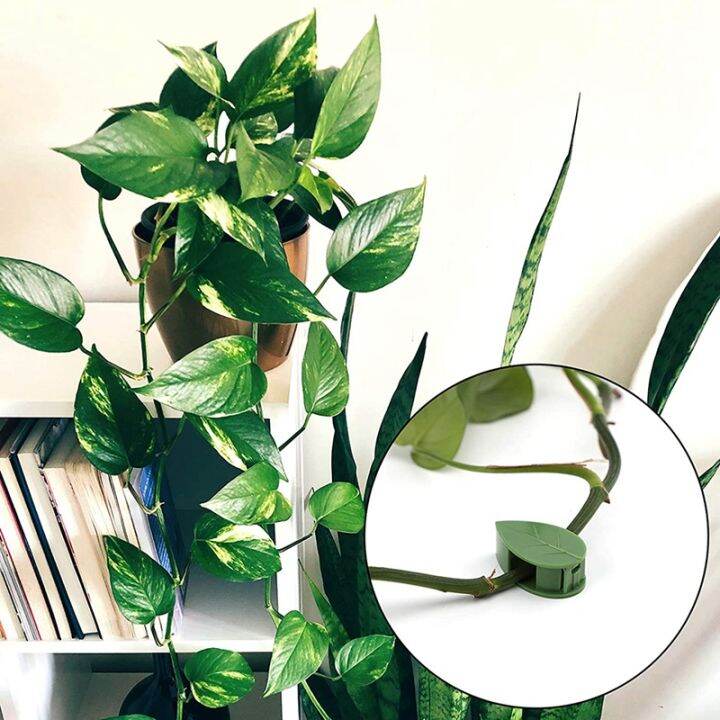 plant-climbing-wall-clamp-self-adhesive-plant-wall-clamp-invisible-leaf-vine-bracket-for-home-decor-cable-organizer