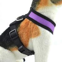 【DT】Breathable Small Pet Collar Mesh Dog Harness and Leash Set Cat Vest Harness For Chihuahua Puppy Pug Bulldog Cat Arnes Perro  hot