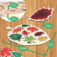 ตัวต่อรูปใบไม้ Montessori ไม้สำหรับเครื่องช่วยในการสอนเด็กจิ๊กซอว์ต้นไม้ของเล่นของเล่นภาพวาดเพื่อการเรียนรู้สำหรับเด็ก