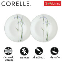 Corelle Shadow Iris จานอาหาร จานแก้ว ขนาด 8.5 นิ้ว (21 cm.) จำนวน 2 ชิ้น [C-03-108-333-2]