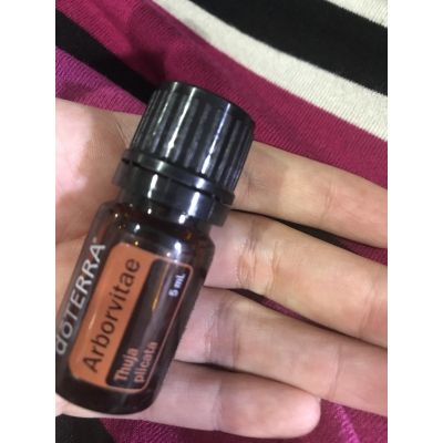 arborvitae น้ำมันหอมระเหย อาโบวิเต้ พร้อมส่ง 5ml