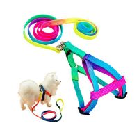 Colorful Pet Leash Adjustable Rainbow Small Rabbit Cat Collar Leash Band Dog Pets Lead Harness Strap Belt Pet Supplies Leashes