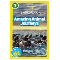 Original English Picture Book National Geographic Kids Level 3: Amazing Animal journeys American National Geographic graded reading elementary childrens English Enlightenment