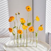 Flower Vase Aesthetic Transparent Glass Vase Decoration Cute Decorative Vases for Wedding Decoration Room Interior Nordic Gift