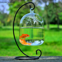 ?SHUNCHANG Hydroponic Wall Hanging Bubble Aquarium แก้วปลา DIY กระถางต้นไม้ตกแต่งบ้าน