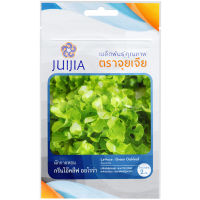 เมล็ดพันธุ์ กรีนโอ๊ค ลีฟออโรร่า (LETTUCE Green Oakleaf Aurora) บรรจุประมาณ 2 กรัม ตราจุยเจีย เขียวสวย ทรงพุ่ม ผักสลัด