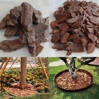 1Kg 3-5Cm Pine Scale Polished Pine Bark Organic Cover Natural Plant Materials Garden Landscaping Landscape Pavement Decoration