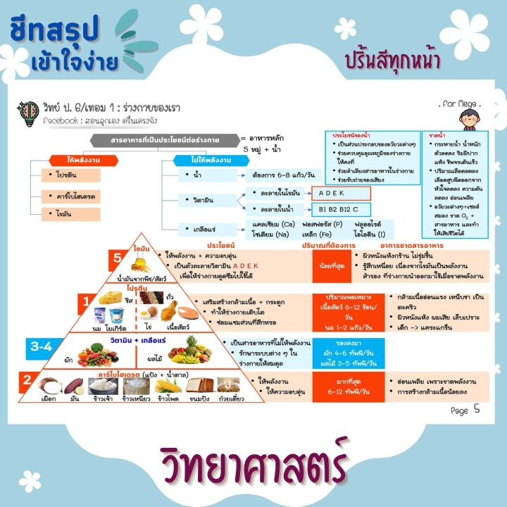 ชีทสรุป-ป-6-เทอม-1-แนวอัสสัม-เซนต์คาเบียล-รวม-5-วิชาหลัก