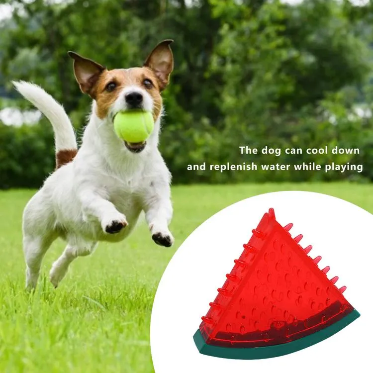 Dogs Toys for Summer Cooling Frozen Dog Toys Full with Water