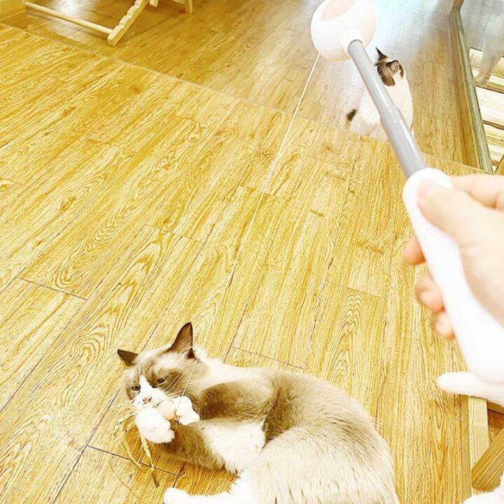 cat-feather-ของเล่น-feather-teaser-stick-wand-pet-retractable-สีสัน-interactive-feather-catcher-product-for-kitten