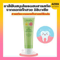 ยาสีฟันสมุนไพร ผสมสารสกัดจากดอกเก๊กฮวย อิชินาเซีย ยาสีฟันกิฟฟารีน Bio Herbal Toothpaste ยาสีฟันดอกเก็กฮวย