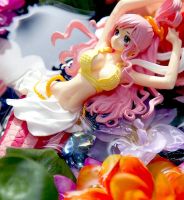 Shirahoshi ของแท้ JP แมวทอง - Creator X Creator Banpresto [โมเดลวันพีช]