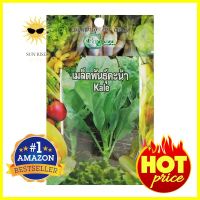 เมล็ดพันธุ์ผักคะน้าใบ กรีน การ์เด้นKALE SEED GREEN GARDEN **สามารถออกใบกำกับภาษีได้ค่ะ**