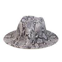 Fedora Hat Men Winter Women Hats Crocodile Snake Skin Jazz Cap Autumn Casual Panama Winter Hat Women 2021 New Sombreros De Mujer