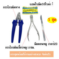 คุ้มมาก 1 ชุด กรรไกรตัดหางหมู กรรไกรตัดเขี้ยวหมู 12ซม.  มีดตอนหมู เบอร์23  ครบชุดพร้อมใช้งานอย่างสะดวก จัดส่งเร็ว