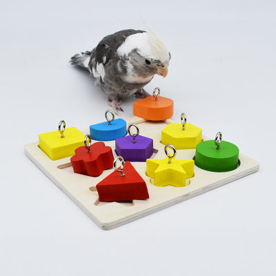 นกแก้วของเล่นเพื่อการศึกษานกแก้วของเล่นการฝึกอบรมแบบโต้ตอบบล็อกไม้นกปริศนาของเล่นอุปกรณ์นก